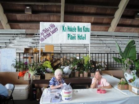 Hilo Orchid Show